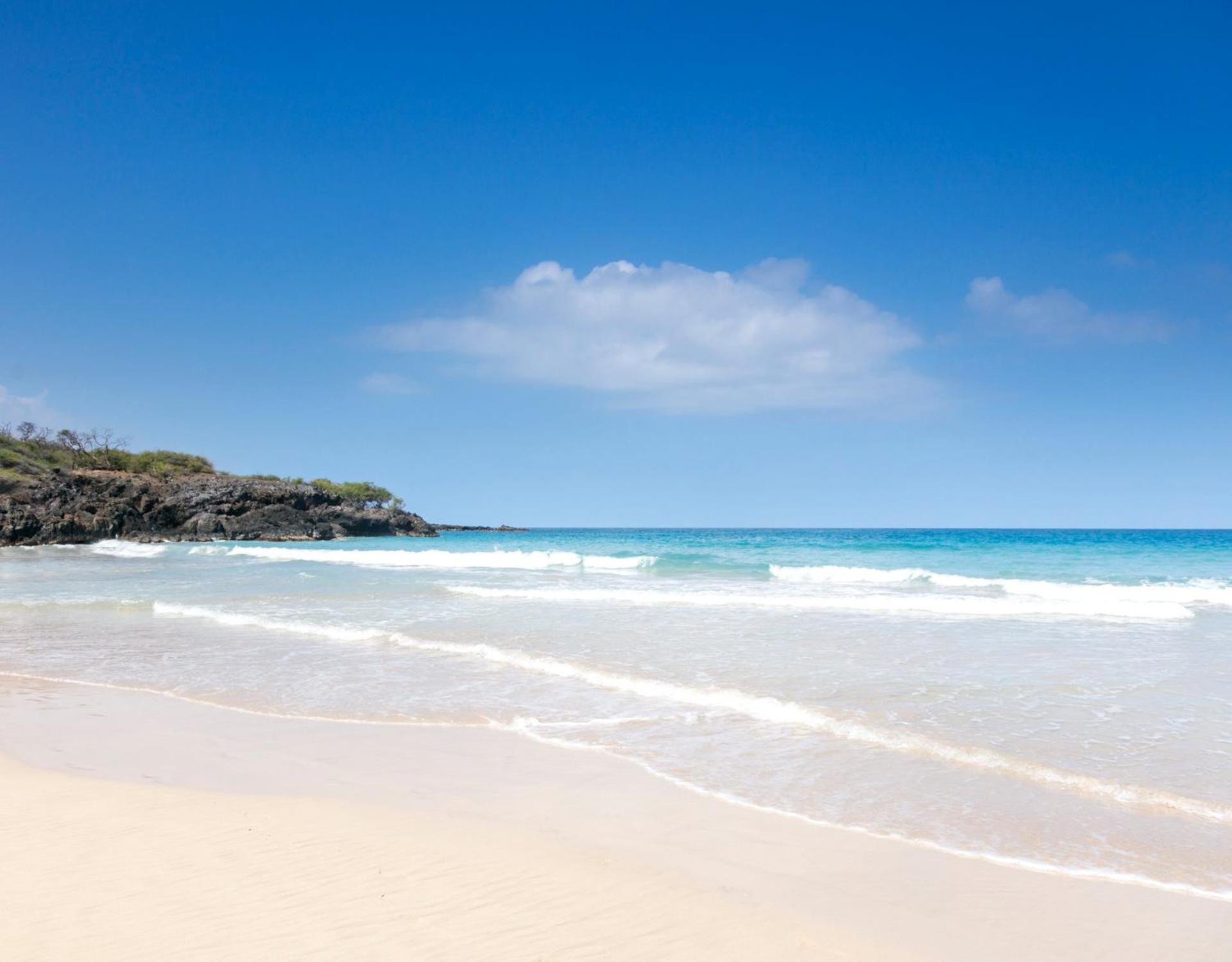 Mauna Kea Palms Ocean Views Stunning Mauna Kea Resort Best Beaches Waimea  Exterior photo