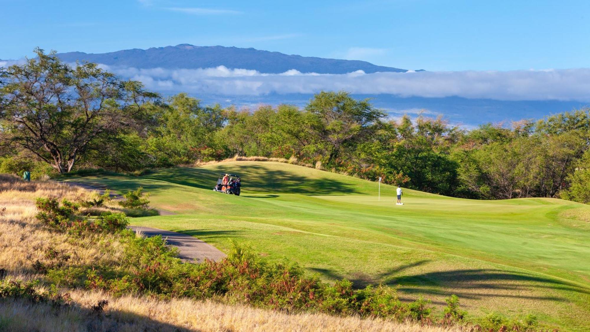 Mauna Kea Palms Ocean Views Stunning Mauna Kea Resort Best Beaches Waimea  Exterior photo