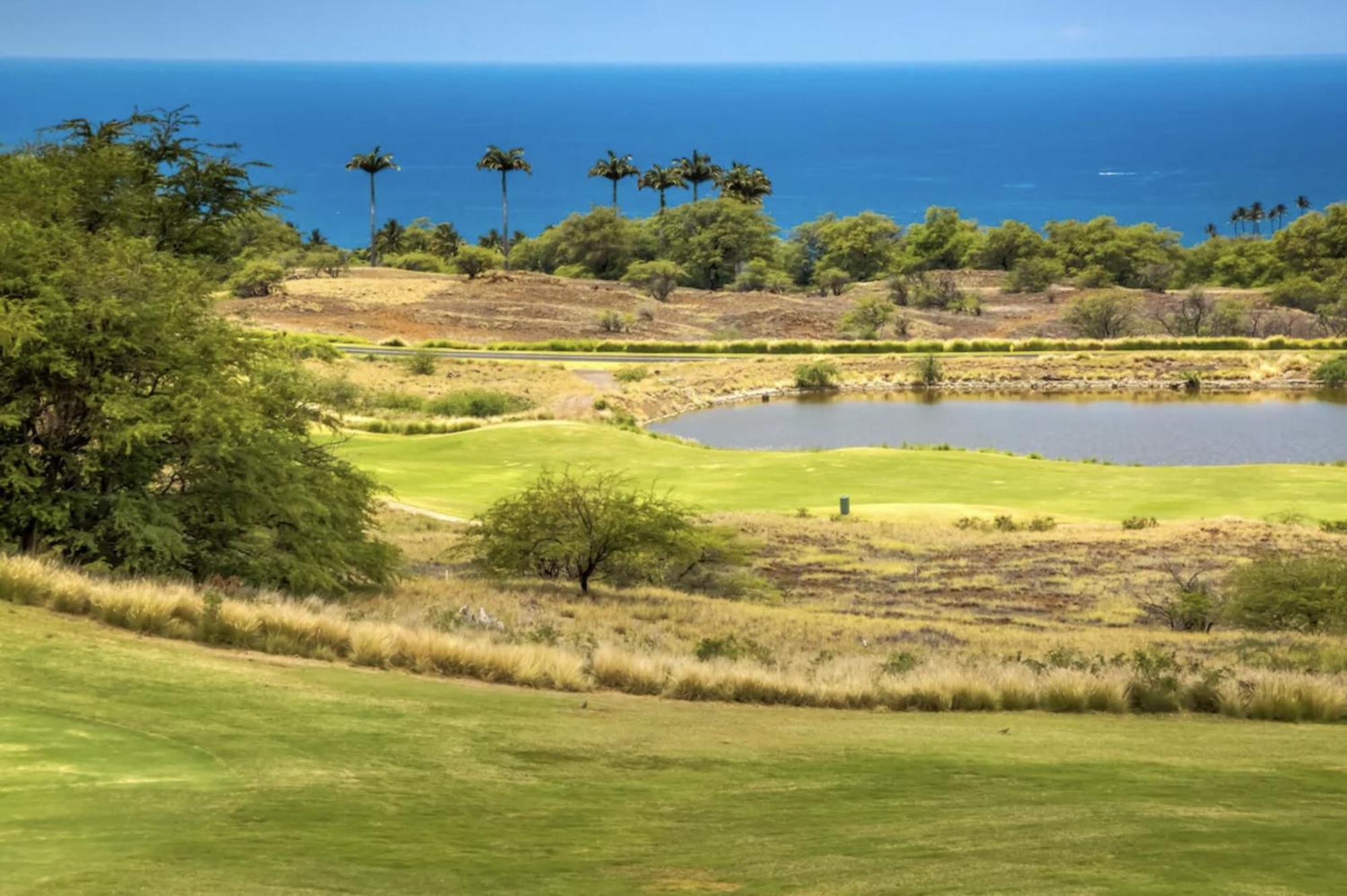 Mauna Kea Palms Ocean Views Stunning Mauna Kea Resort Best Beaches Waimea  Exterior photo