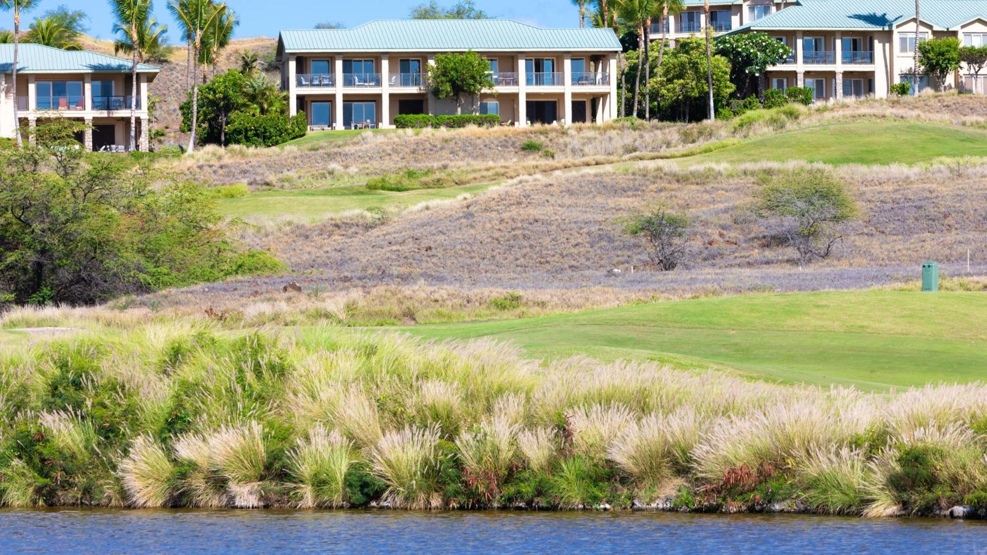 Mauna Kea Palms Ocean Views Stunning Mauna Kea Resort Best Beaches Waimea  Exterior photo