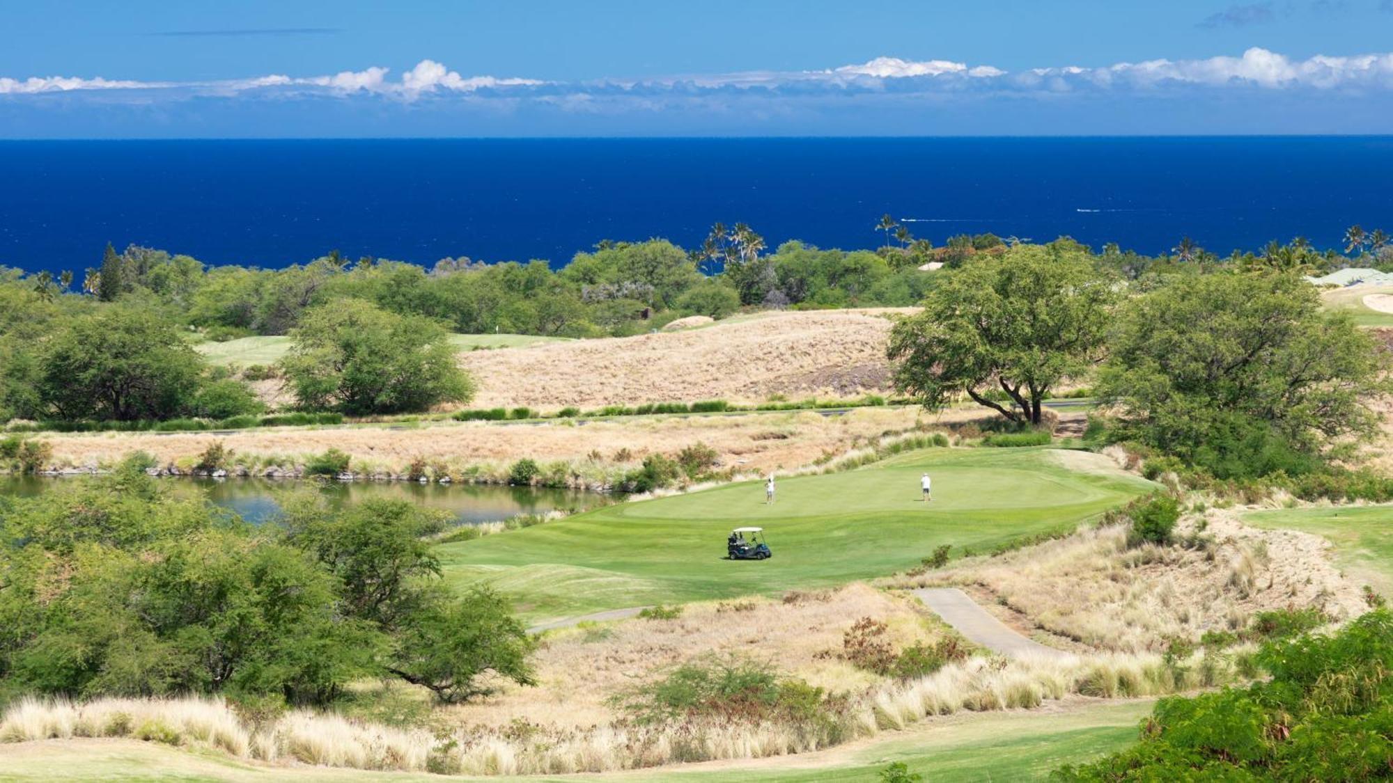 Mauna Kea Palms Ocean Views Stunning Mauna Kea Resort Best Beaches Waimea  Exterior photo